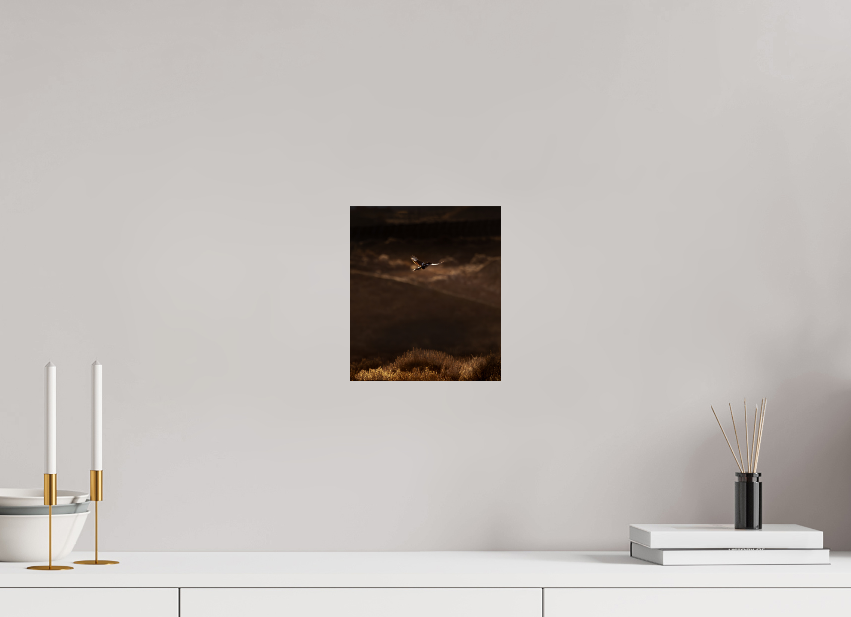 8 x 9.2″, Photo Print On Fuji Crystal DP II Black-billed Magpie Flight Golden Hour Salt Lake City