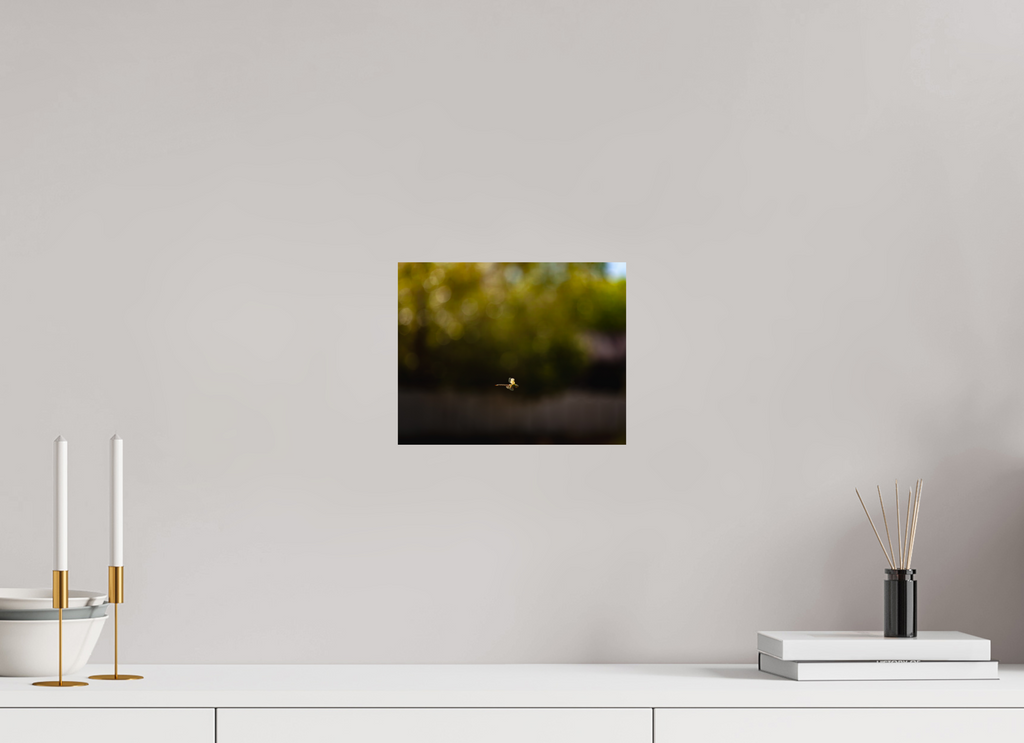 10 x 8″, Photo Print On Fuji Crystal DP II Dragonfly in Flight Golden Hour Salt Lake City