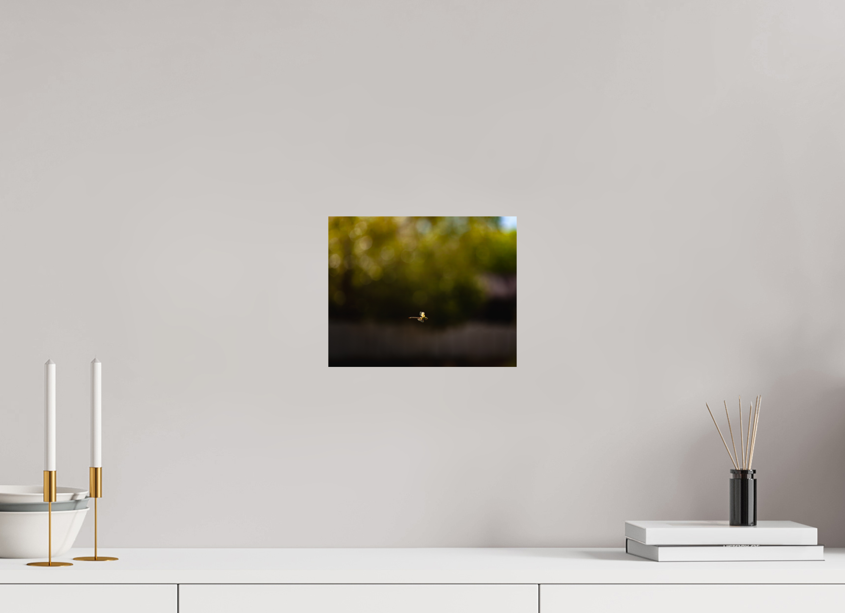 10 x 8″, Photo Print On Fuji Crystal DP II Dragonfly in Flight Golden Hour Salt Lake City
