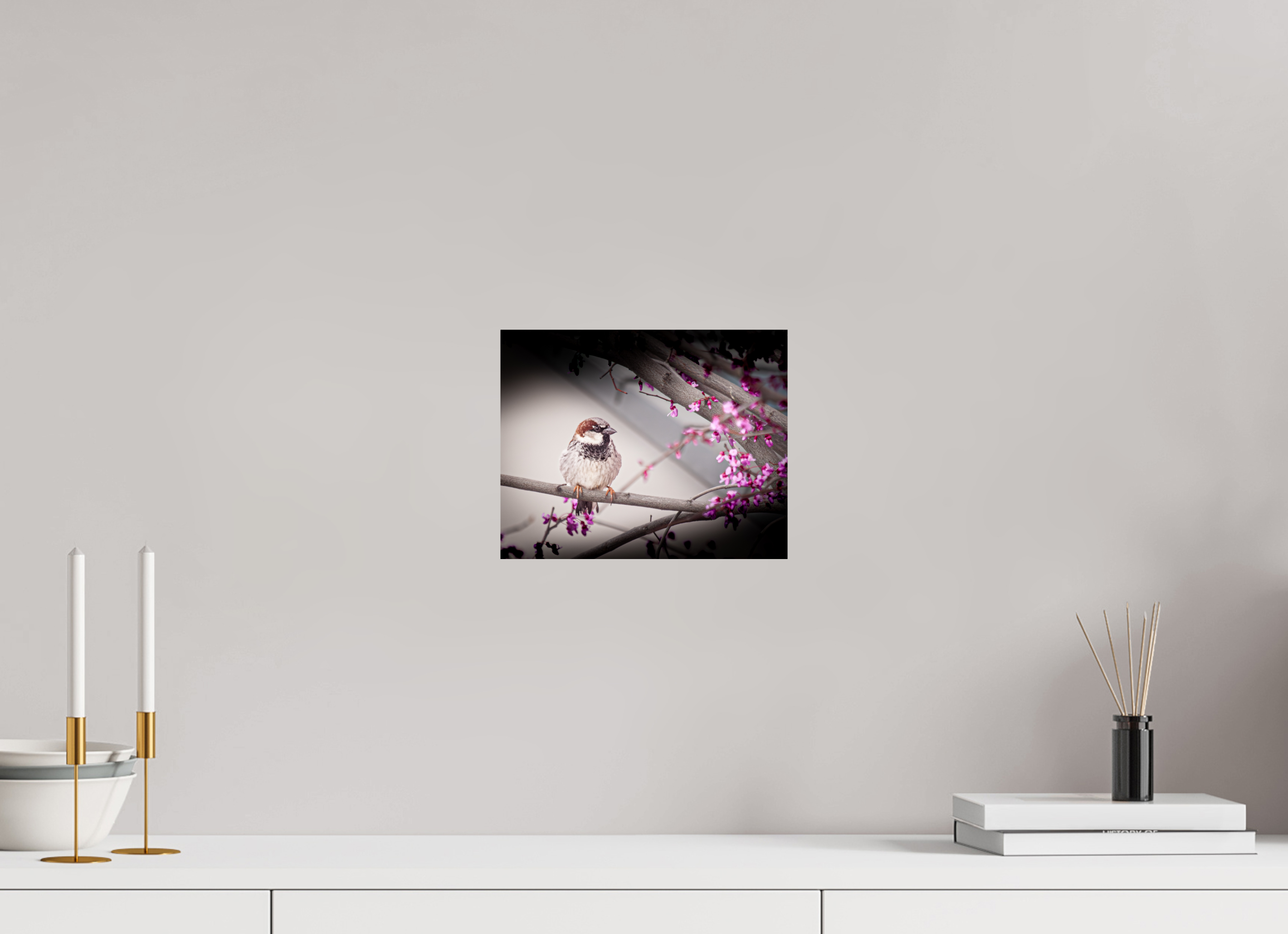 10 x 8″, Photo Print On Fuji Crystal DP II House Sparrow on Spring Redbud Branch Salt Lake City