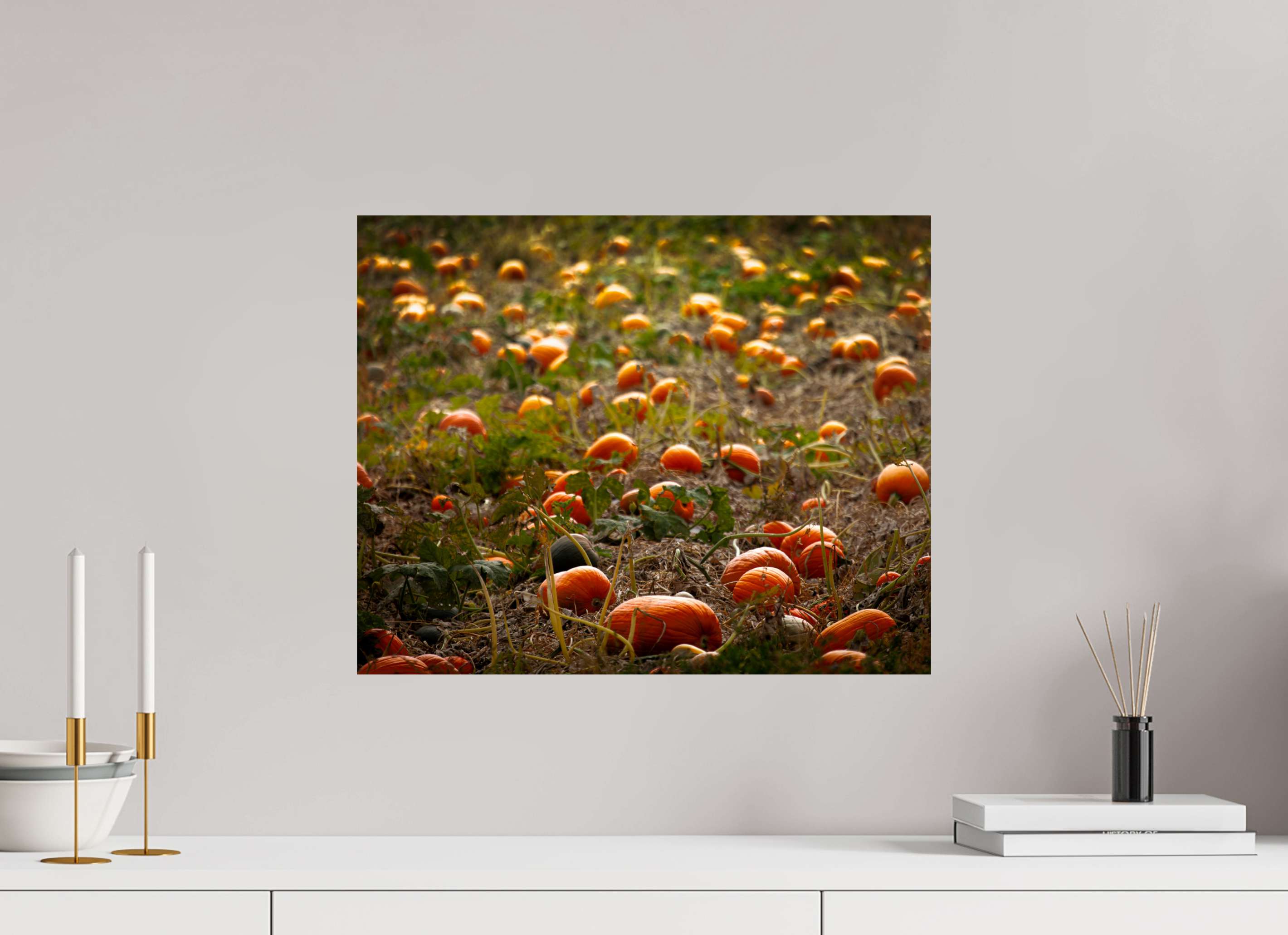 20 x 16″, Photo Print On Fuji Crystal DP II Autumn Pumpkin Patch Salt Lake City Utah Harvest