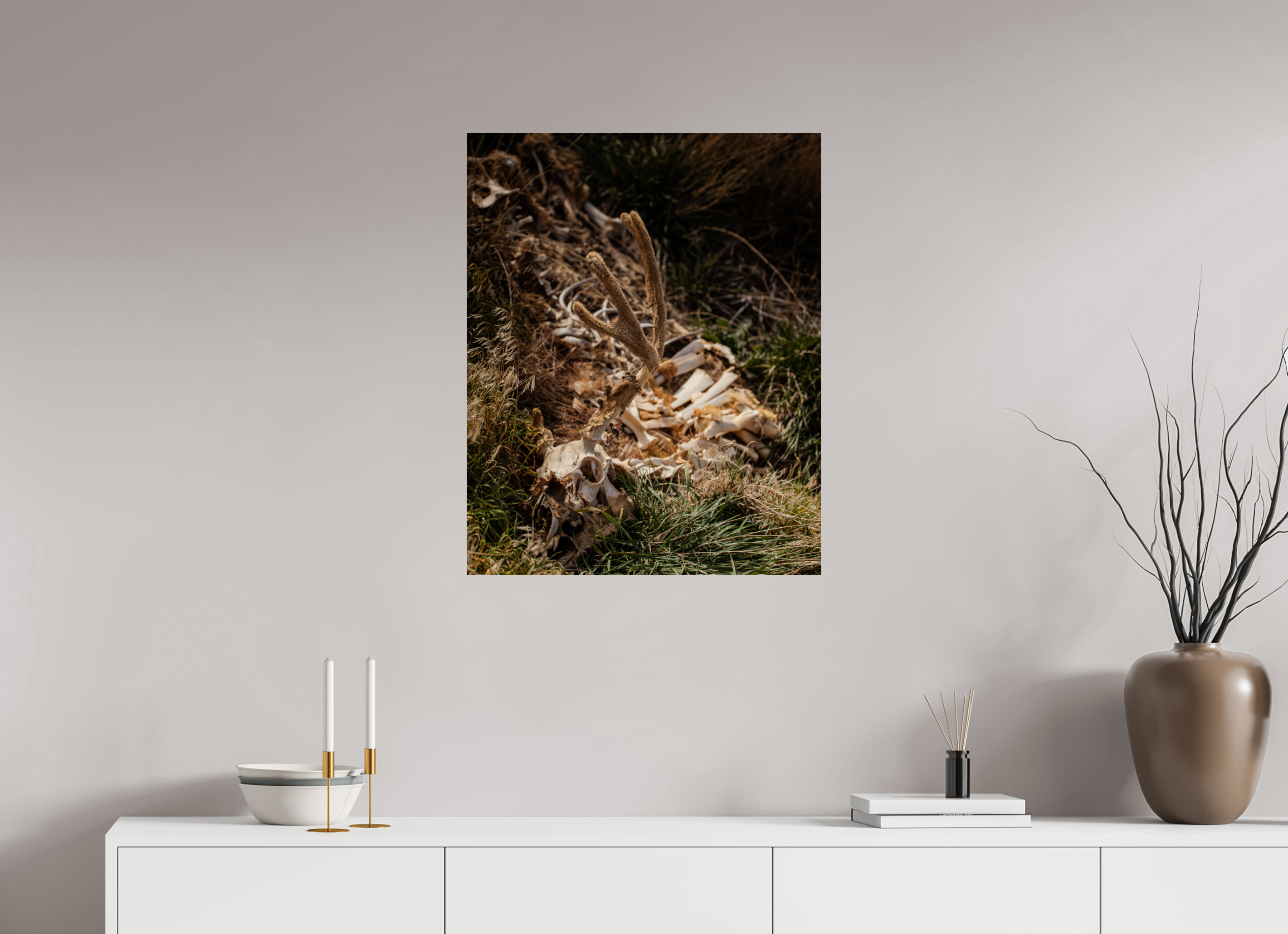 24 x 30″, Photo Print On Fuji Crystal DP II Mule Deer Carcass with Velvet Antlers Salt Lake City