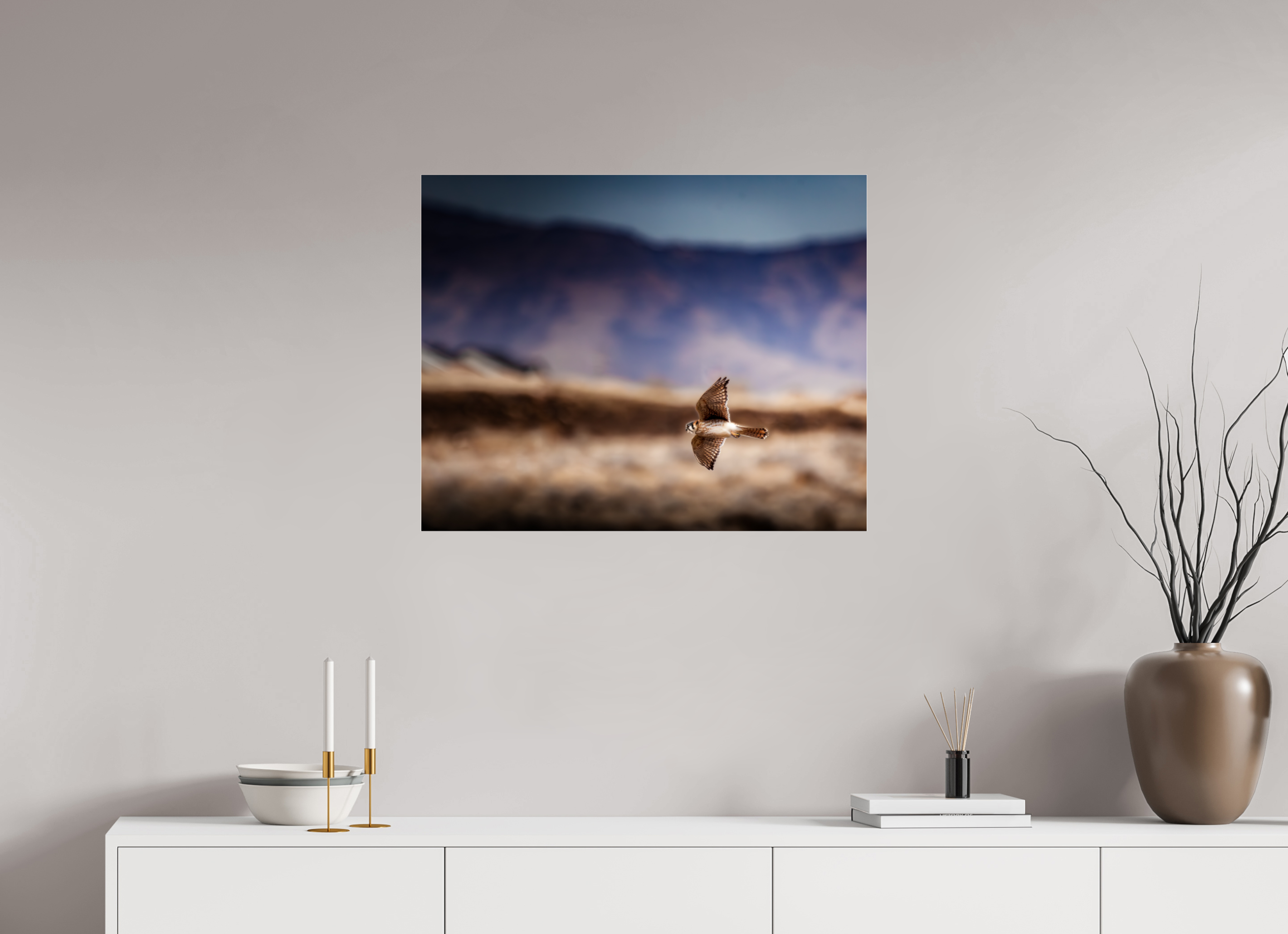 30 x 24″, Photo Print Under Acrylic Glass American Kestrel in Flight Salt Lake City Utah Foothills