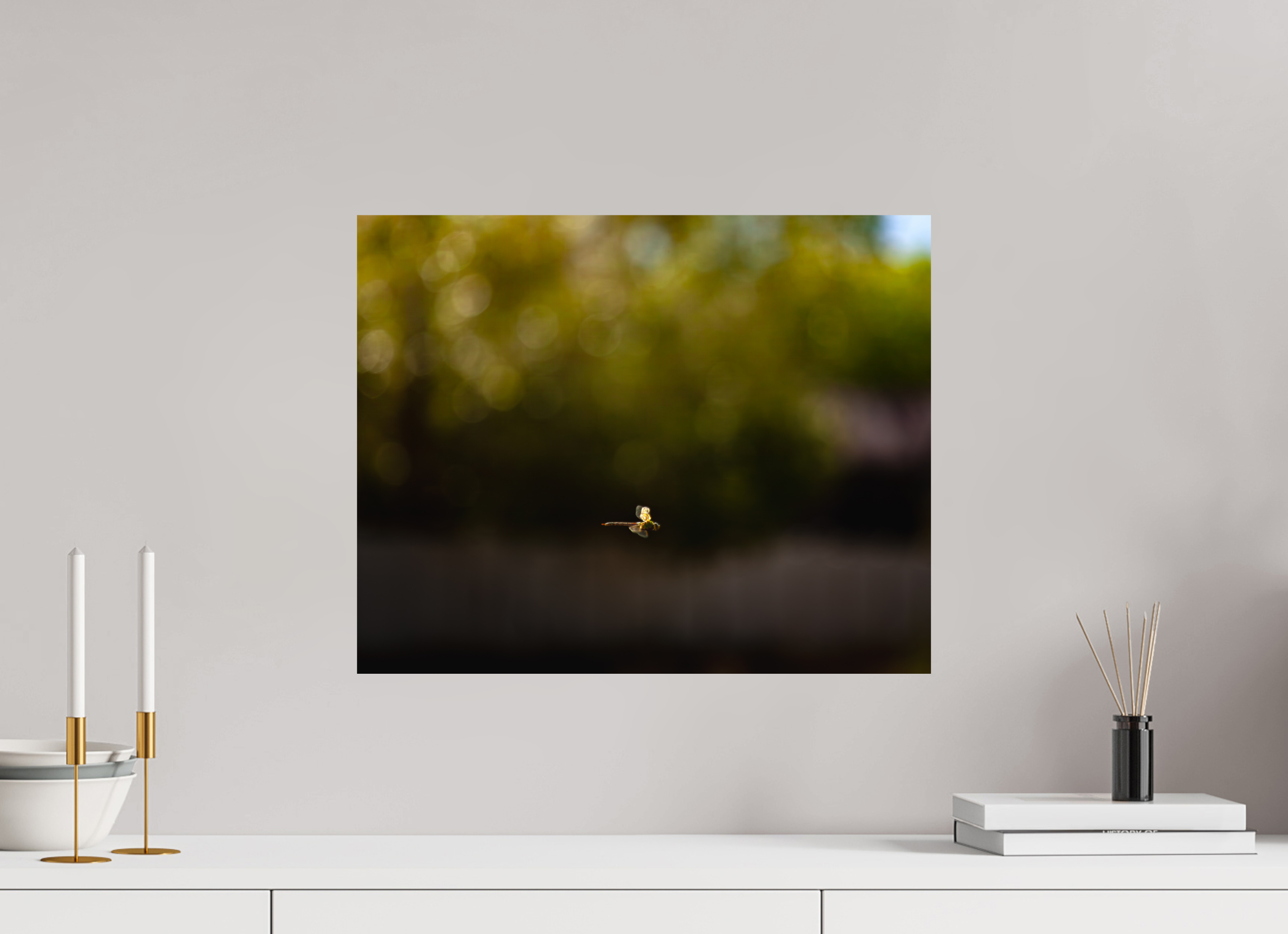 20 x 16″, Photo Print On Fuji Crystal DP II Dragonfly in Flight Golden Hour Salt Lake City