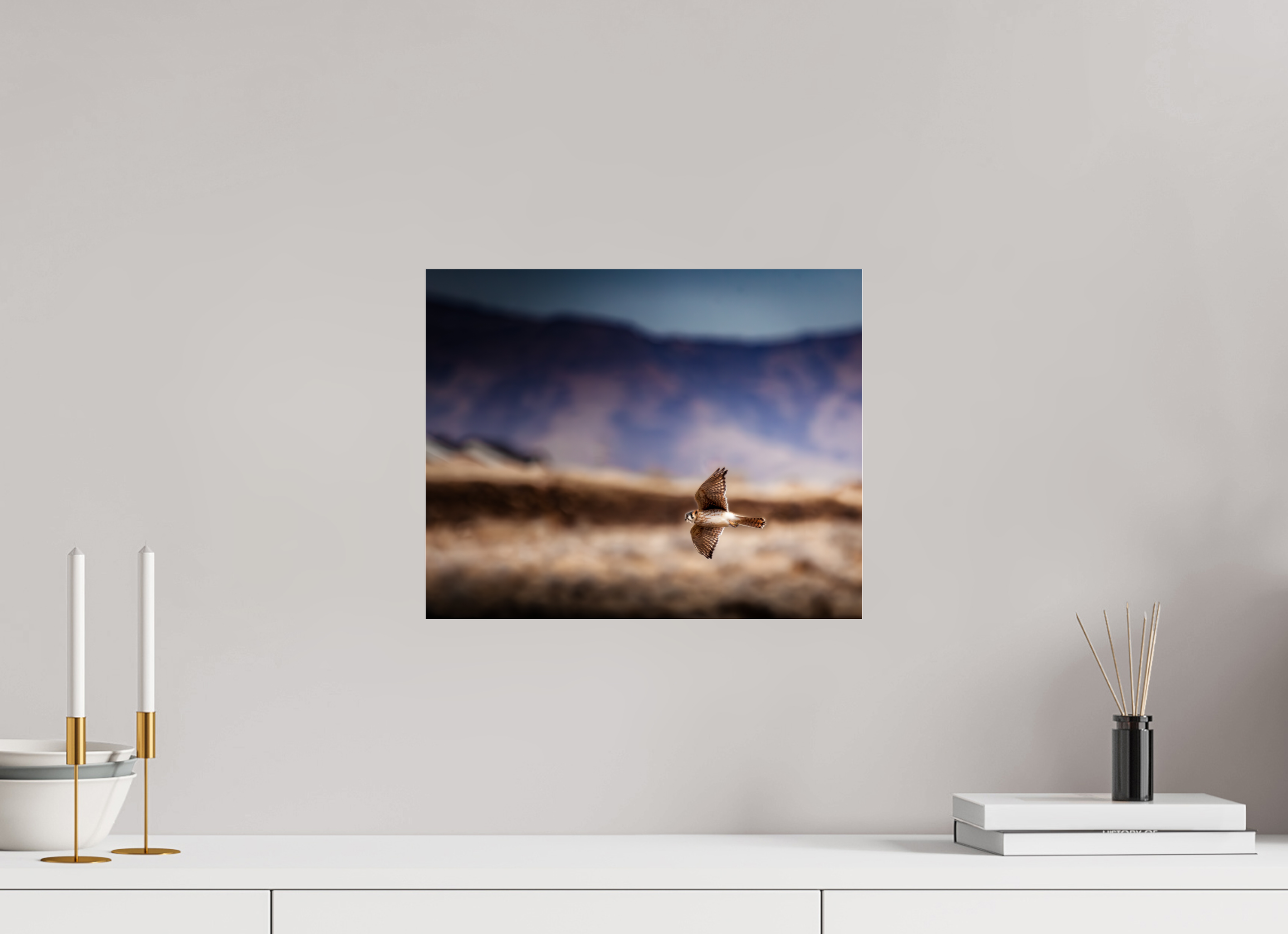 15 x 12″, Photo Print Under Acrylic Glass American Kestrel in Flight Salt Lake City Utah Foothills