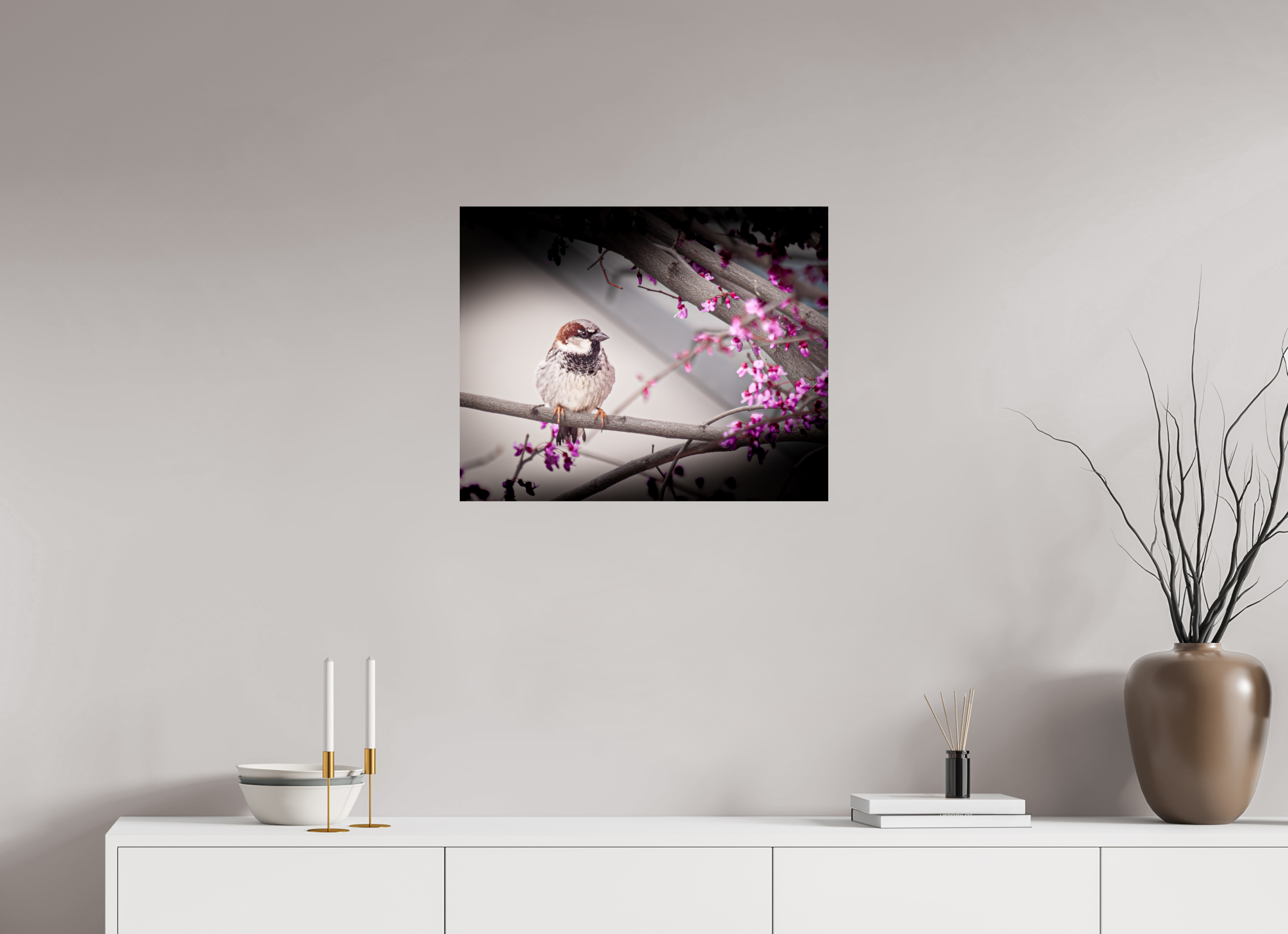 25 x 20″, Photo Print On Fuji Crystal DP II House Sparrow on Spring Redbud Branch Salt Lake City