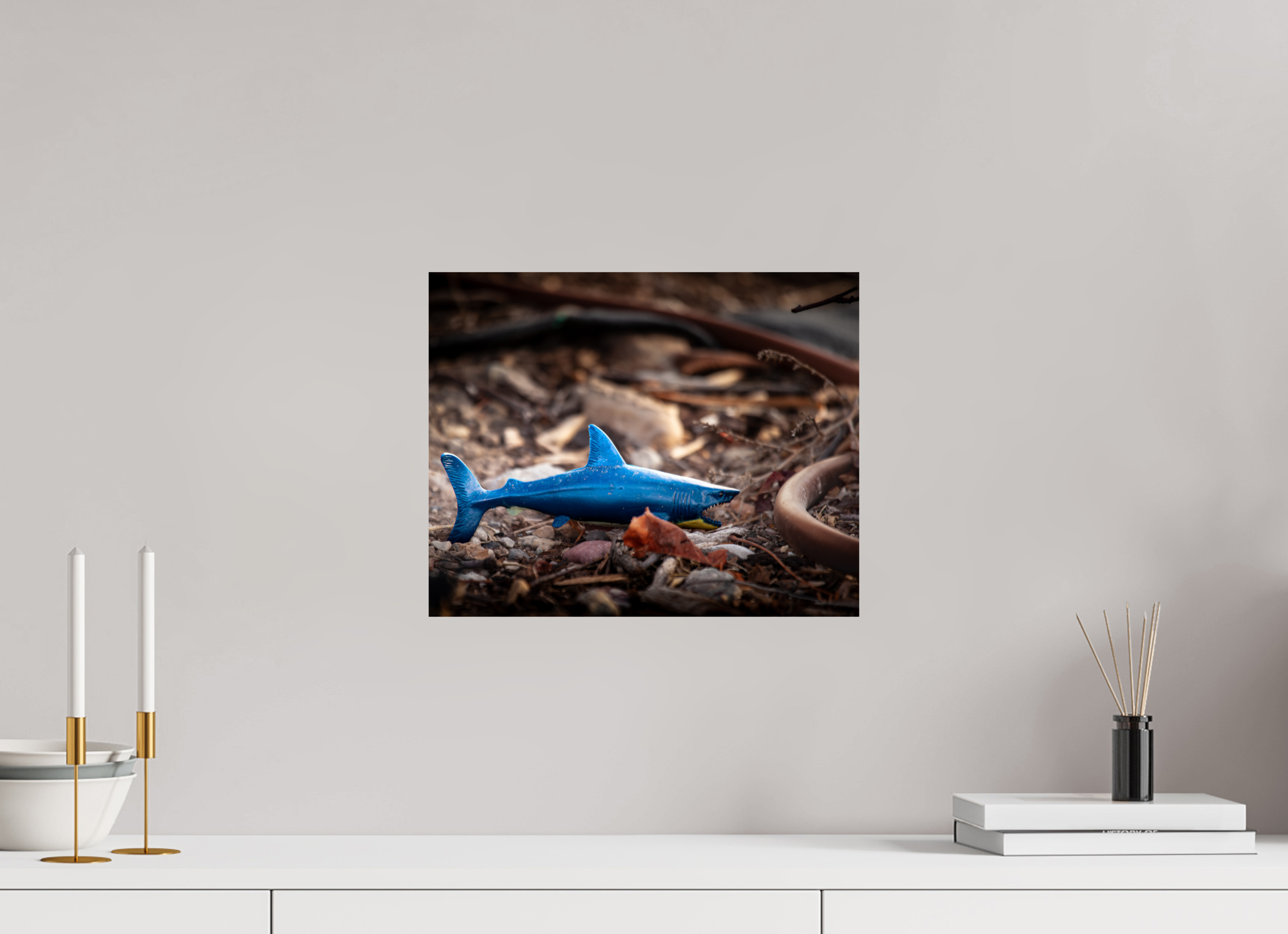 15 x 12″, Photo Print On Fuji Crystal DP II Abandoned Blue Shark Toy Urban Decay Salt Lake City
