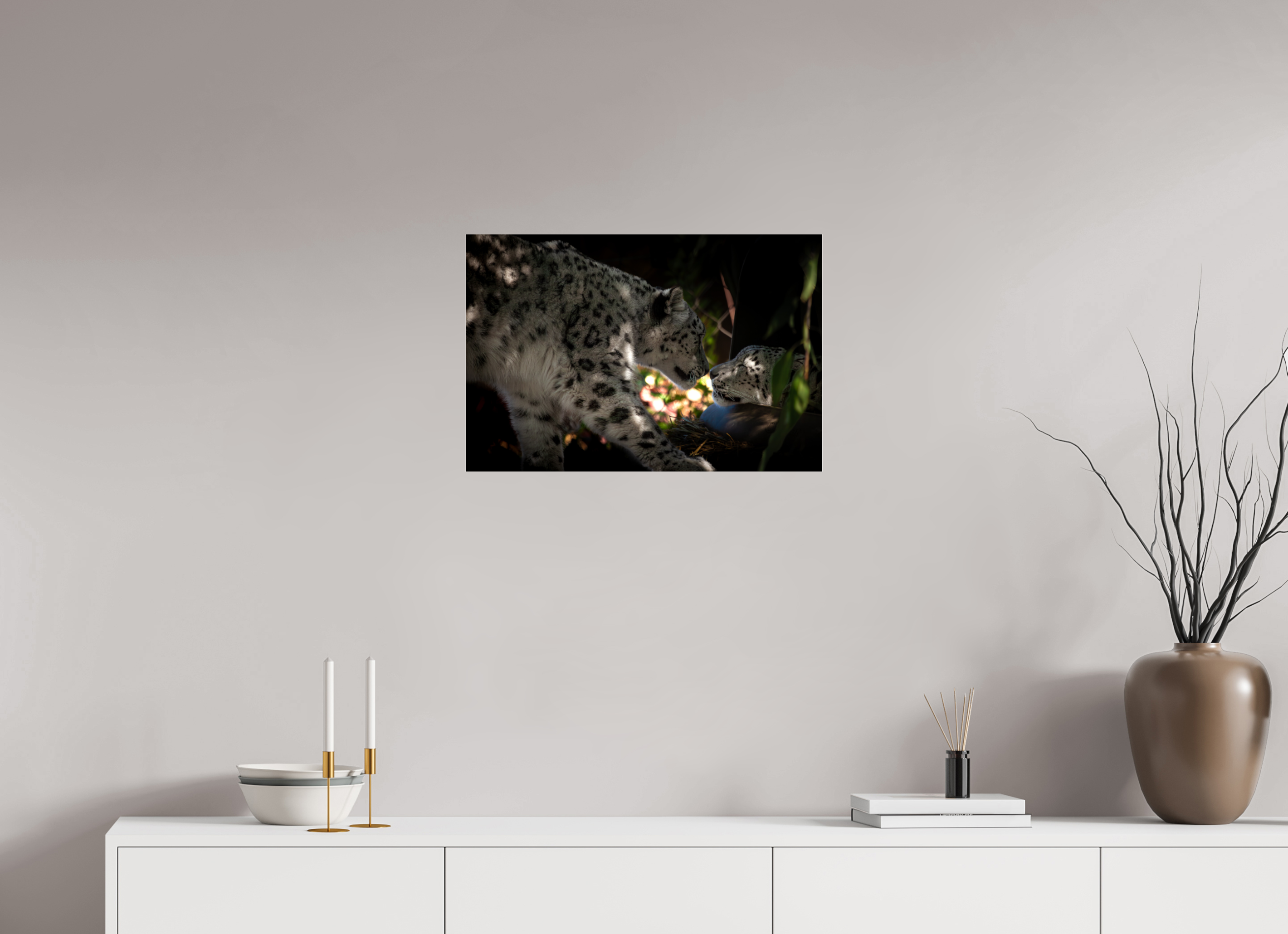 24 x 16″, Photo Print Under Acrylic Glass Snow Leopards